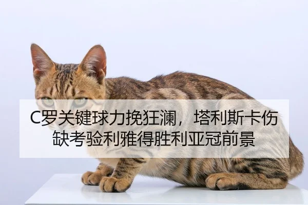 C罗关键球力挽狂澜，塔利斯卡伤缺考验利雅得胜利亚冠前景
